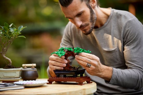 LEGO Icons 10281 Bonsai Tree
