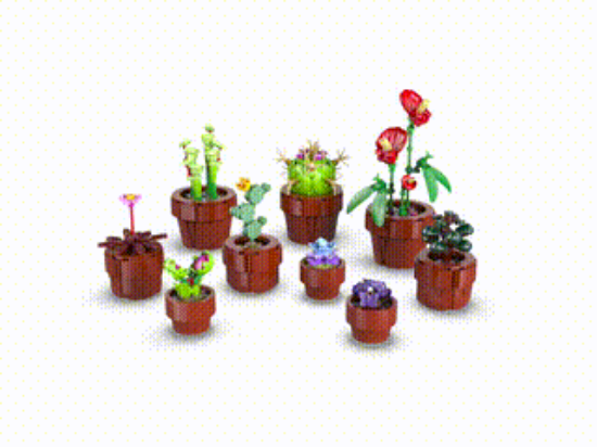 LEGO Icons 10329 Tiny Plants 360 VDO