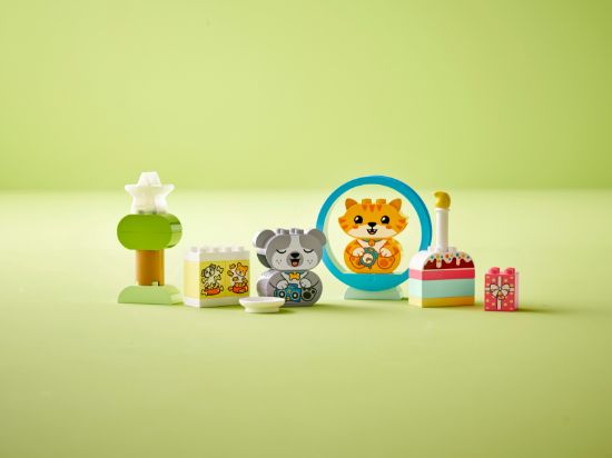 playing LEGO DUPLO 10977 My First Puppy & Kitten