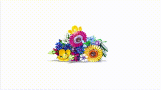 	LEGO Icons 10313 Wildflower Bouquet 360 VDO