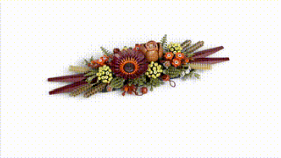 LEGO Icons 10314 Dried Flower Centrepiece 360 VDO