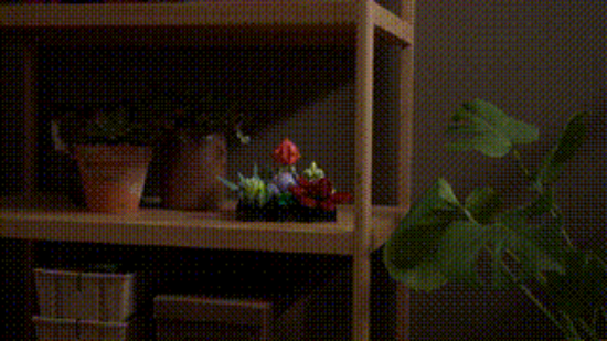 LEGO Icons 10309 Succulents VDO