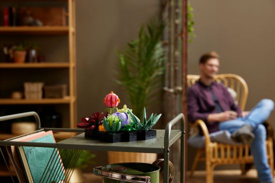 Picture of LEGO Icons 10309 Succulents