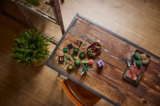 LEGO Icons 10309 Succulents