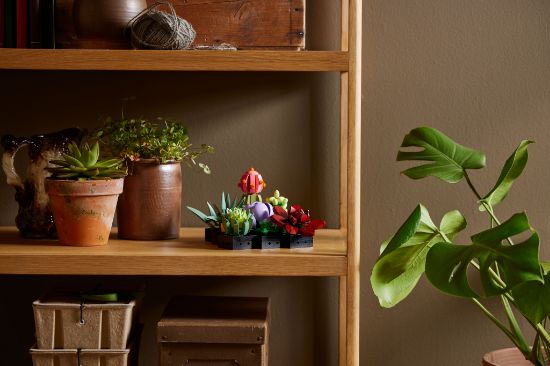 LEGO Icons 10309 Succulents