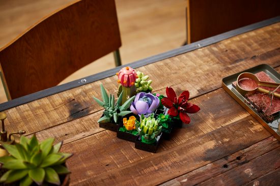 LEGO Icons 10309 Succulents