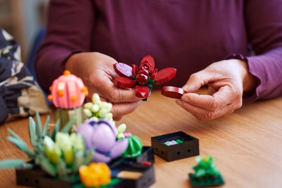 playing LEGO Icons 10309 Succulents
