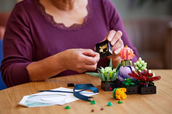 playing LEGO Icons 10309 Succulents