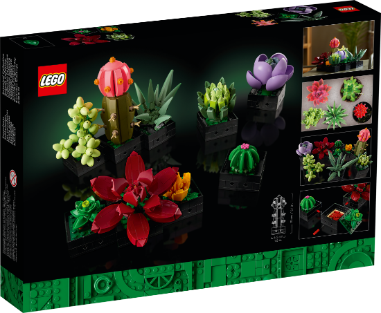 LEGO Icons 10309 Succulents package VALENTINES Botanicals