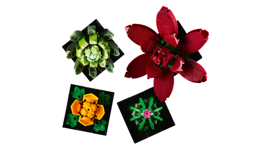 LEGO Icons 10309 Succulents