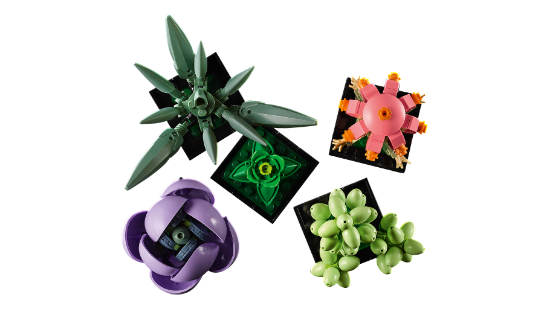 LEGO Icons 10309 Succulents