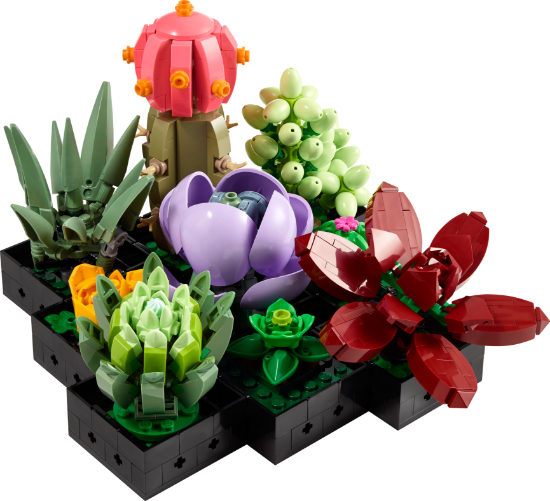 LEGO Icons 10309 Succulents VALENTINES Botanicals