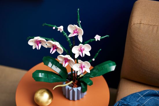 Picture of LEGO Icons 10311 Orchid