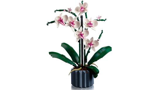 Picture of LEGO Icons 10311 Orchid