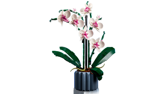 Picture of LEGO Icons 10311 Orchid