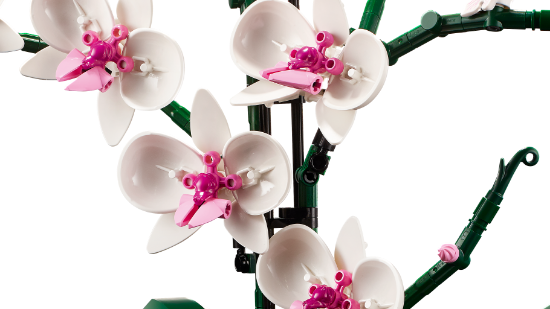 Picture of LEGO Icons 10311 Orchid