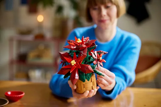 playing LEGO Icons 10370 Poinsettia Plant Decor Building Set