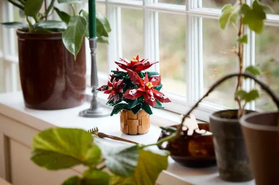 LEGO Icons 10370  Poinsettia Plant Decor Building Set