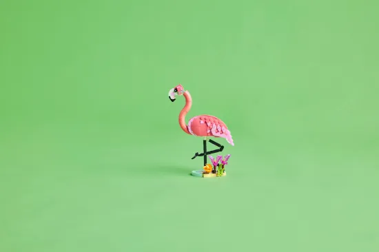 Picture of LEGO Creator 31170 Wild Animals: Pink Flamingo