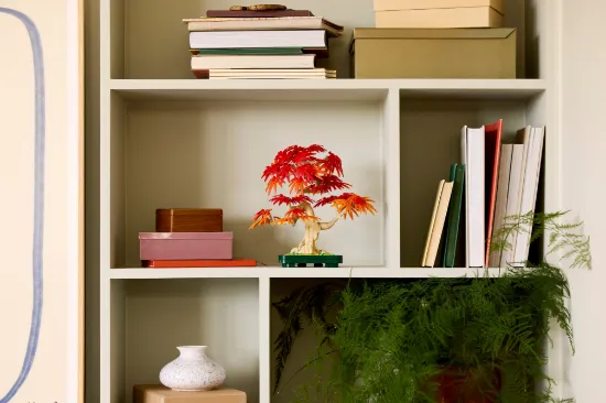Picture of LEGO Botanicals 10348 Japanese Red Maple Bonsai Tree