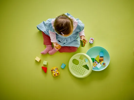 Picture of LEGO DUPLO 10441  My First Shape Sorter: Puppy House
