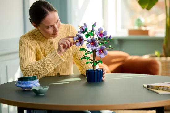 playing LEGO icons 10372 botanicals hibiscus
