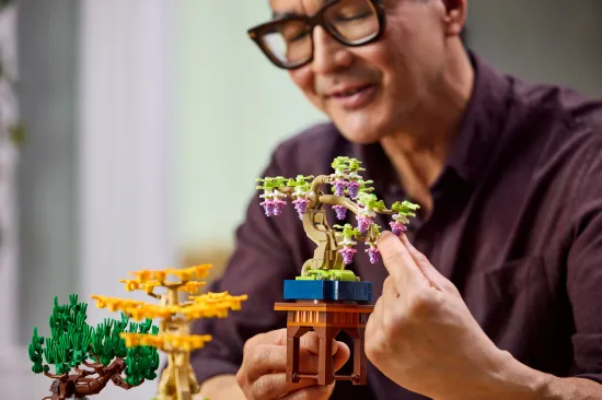 playing LEGO icons 10373 botanicals mini bonsai trees
