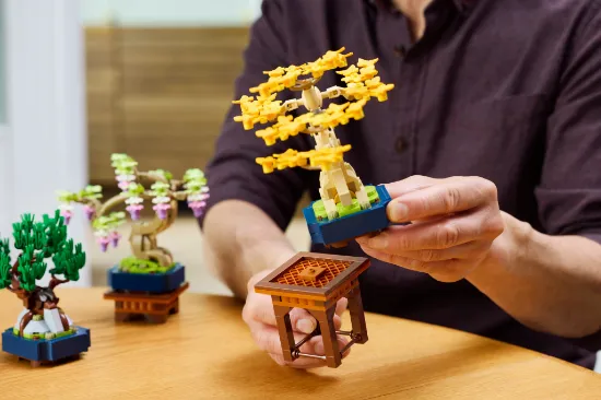 playing LEGO icons 10373 botanicals mini bonsai trees