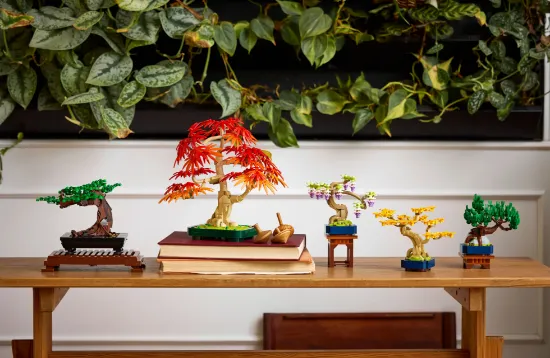 LEGO icons 10373 botanicals mini bonsai trees