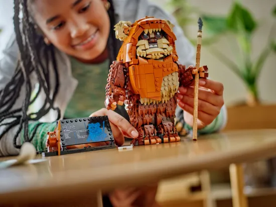 Picture of LEGO Star Wars 75430 Wicket the Ewok