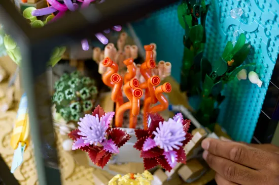 Picture of LEGO Icons 10366 Tropical Aquarium