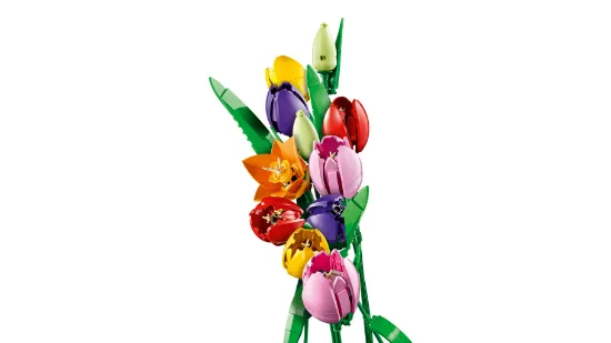 Picture of LEGO Botanicals 11501 Bouquet