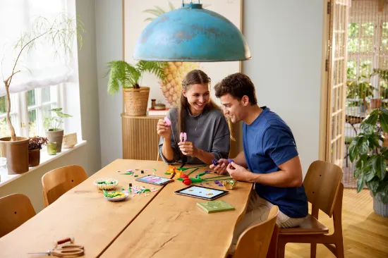 Picture of LEGO Botanicals 11501 Bouquet