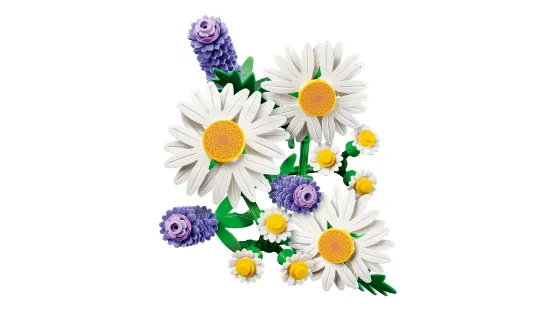 Picture of LEGO Botanicals 11508 Daisies