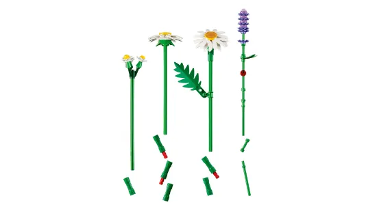 Picture of LEGO Botanicals 11508 Daisies