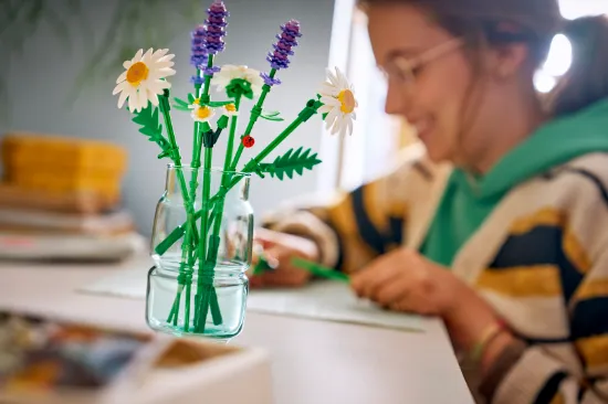 Picture of LEGO Botanicals 11508 Daisies