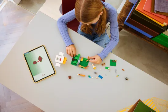 Picture of LEGO Minecraft 21585 Chicken Farm