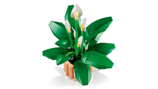 Picture of LEGO Botanicals 11504 Peace Lily