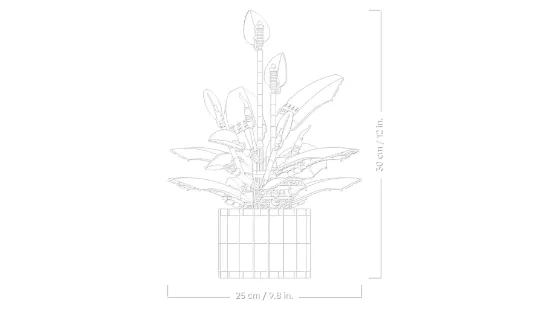 Picture of LEGO Botanicals 11504 Peace Lily