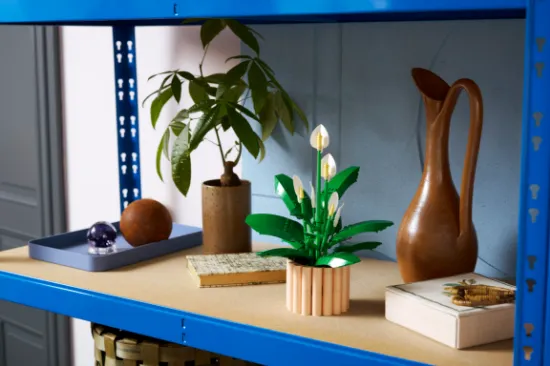 Picture of LEGO Botanicals 11504 Peace Lily