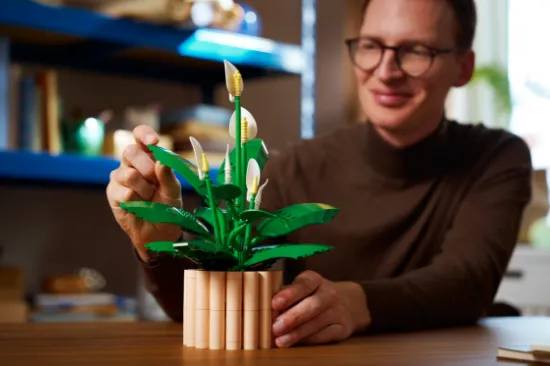Picture of LEGO Botanicals 11504 Peace Lily
