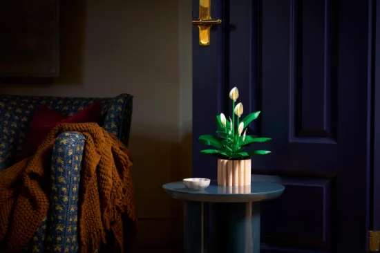 Picture of LEGO Botanicals 11504 Peace Lily