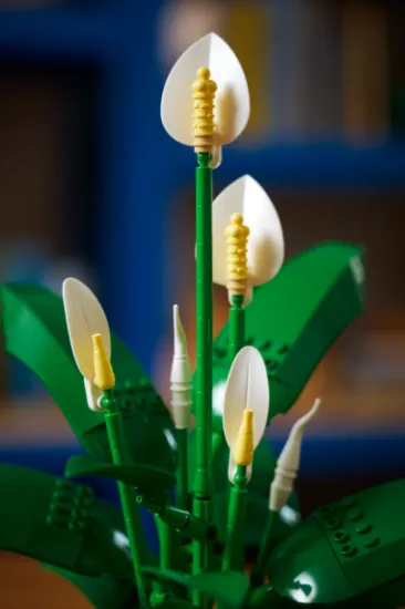 Picture of LEGO Botanicals 11504 Peace Lily