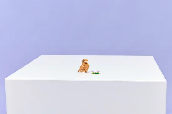 Picture of LEGO Creator 31376 Cute Hamster with a Flower