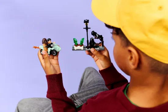 Picture of LEGO Harry Potter 76459 Hagrid™ & Harry’s Privet Drive Escape