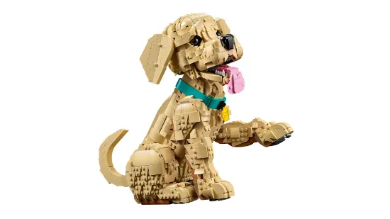 Picture of LEGO Icons 11384 Golden Retriever Puppy