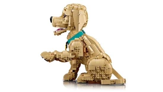 Picture of LEGO Icons 11384 Golden Retriever Puppy