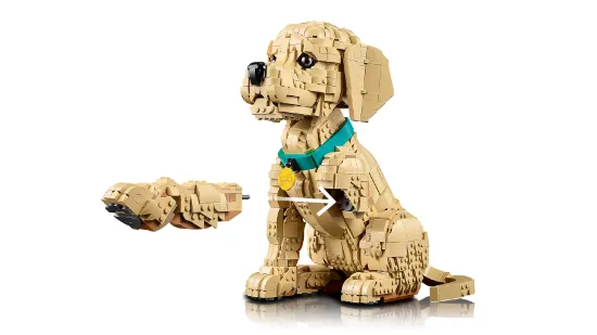 Picture of LEGO Icons 11384 Golden Retriever Puppy