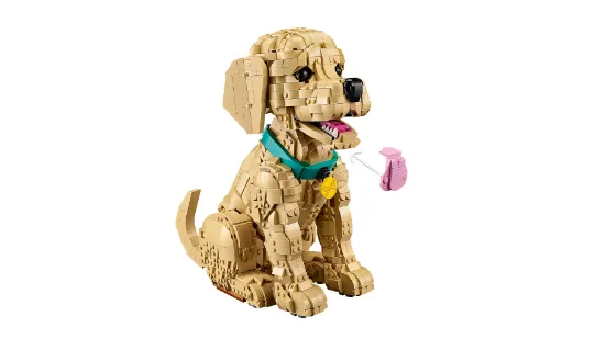 Picture of LEGO Icons 11384 Golden Retriever Puppy