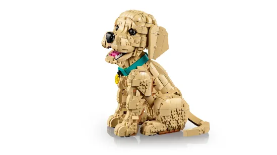 Picture of LEGO Icons 11384 Golden Retriever Puppy